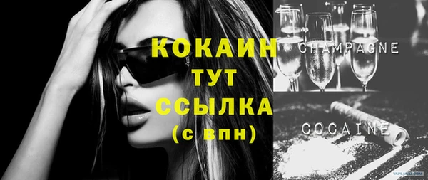 ECSTASY Богданович