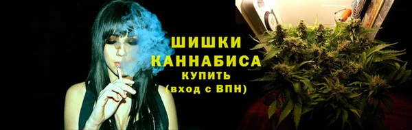 мдпв Ступино