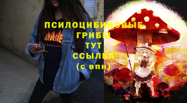 ALPHA PVP Бугульма