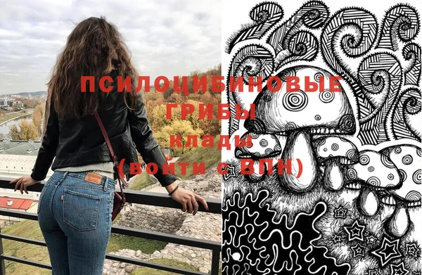 дурь Верея