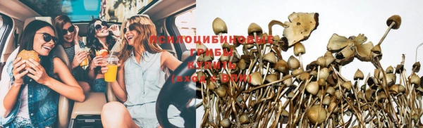 наркотики Бородино